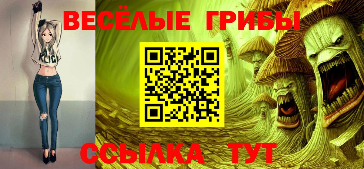 Псилоцибиновые грибы GOLDEN TEACHER  Вход с VPN  купить наркотик  Черемхово 